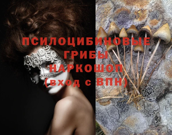 дживик Балахна