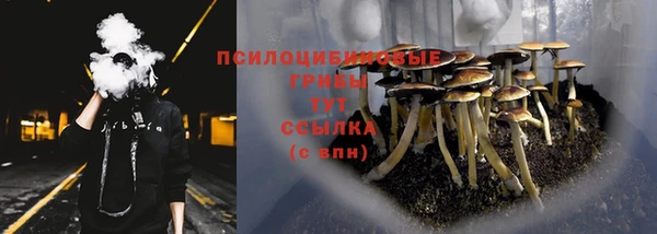 сатива Балабаново