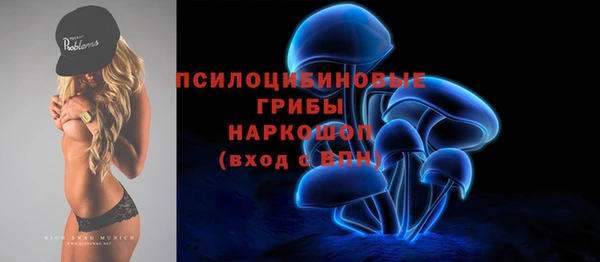 дживик Балахна