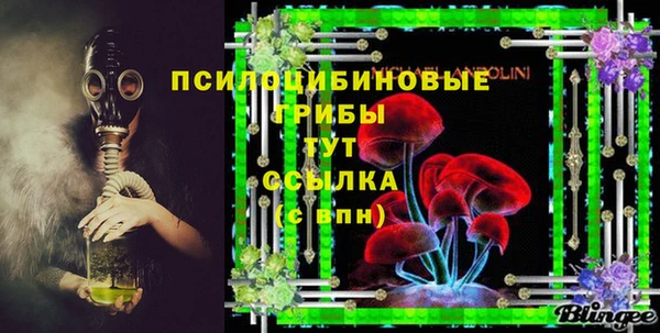 сатива Балабаново