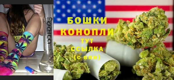 сатива Балабаново