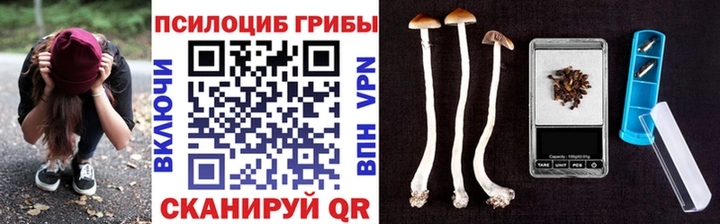 Галлюциногенные грибы ЛСД  Вольск 