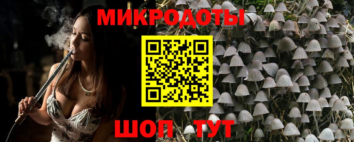 Псилоцибиновые грибы прущие грибы Вольск