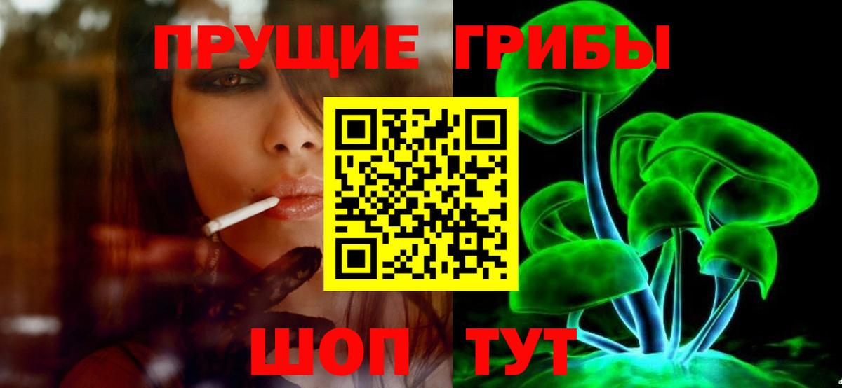Галлюциногенные грибы MAGIC MUSHROOMS  закладка  Вольск  Вход с VPN 