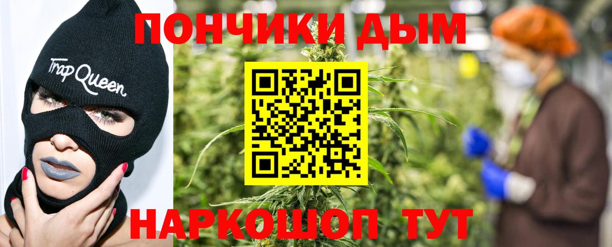 Конопля OG Kush Вольск